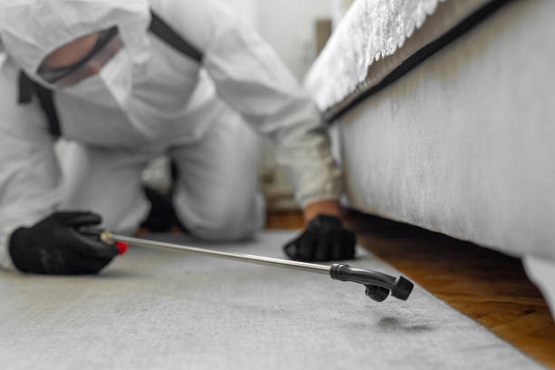 Professional Cockroach Control technician working in Footville, WI