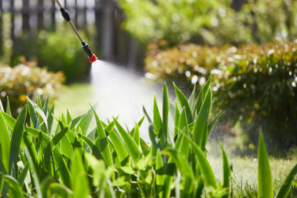 24/7 Emergency Cockroach Control experts in Footville, WI